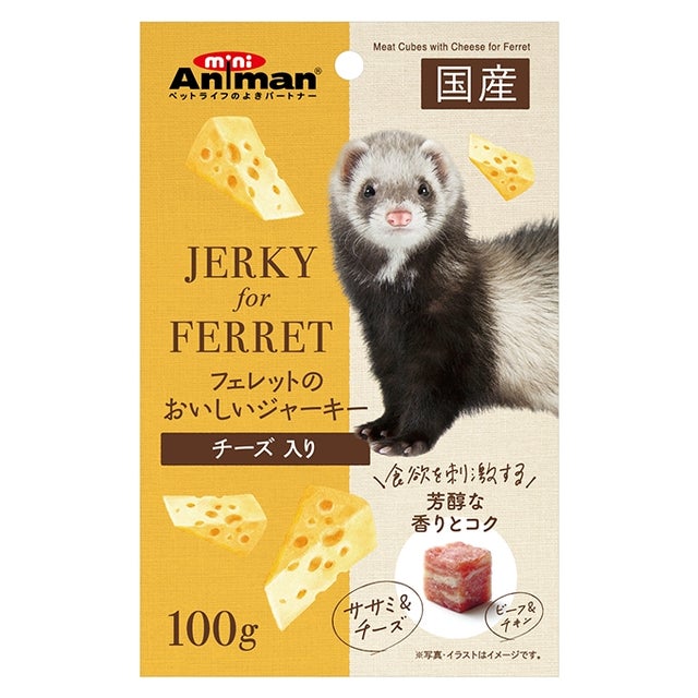 フェレット | 小動物専門店 ペットショップLAMPO