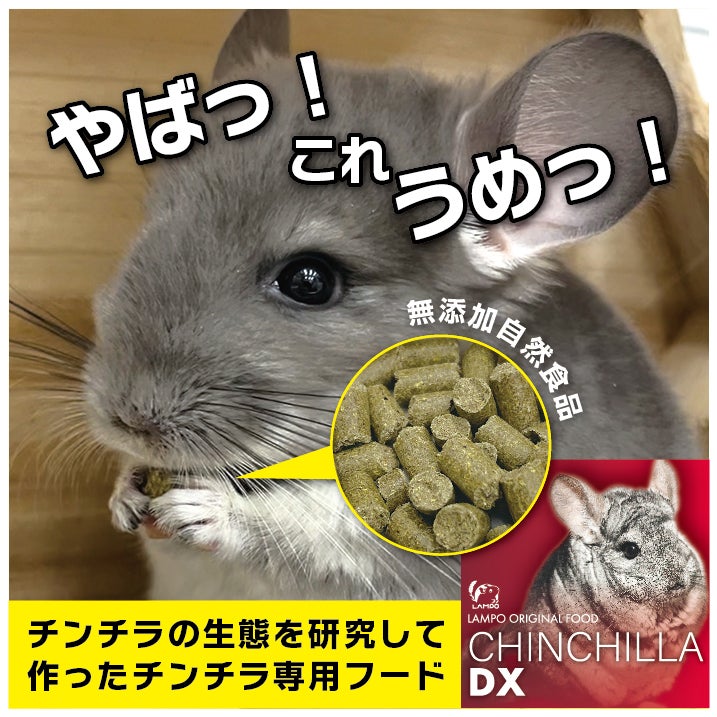 sさま　チンチラちゃん　専用のおやつ ちぃさま チンチラちゃん専用のおやつ フード・おやつ