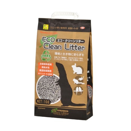 フェレット | 小動物専門店 ペットショップLAMPO