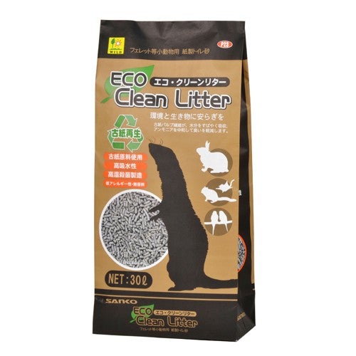 フェレット | 小動物専門店 ペットショップLAMPO
