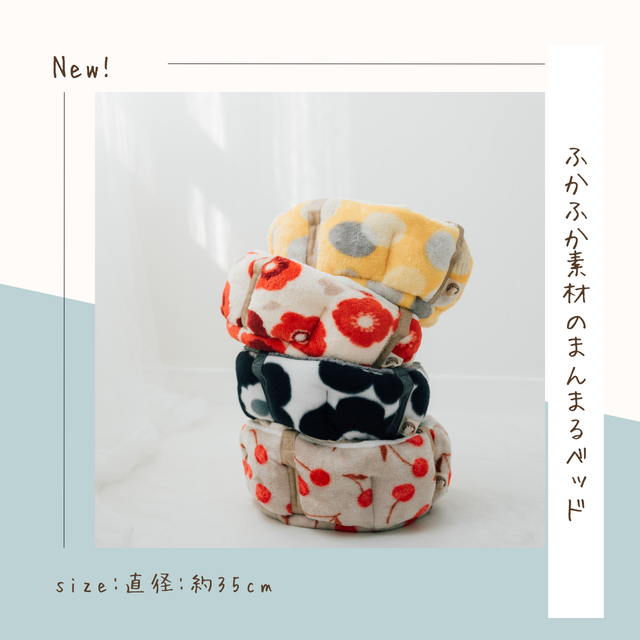 フェレット | 小動物専門店 ペットショップLAMPO