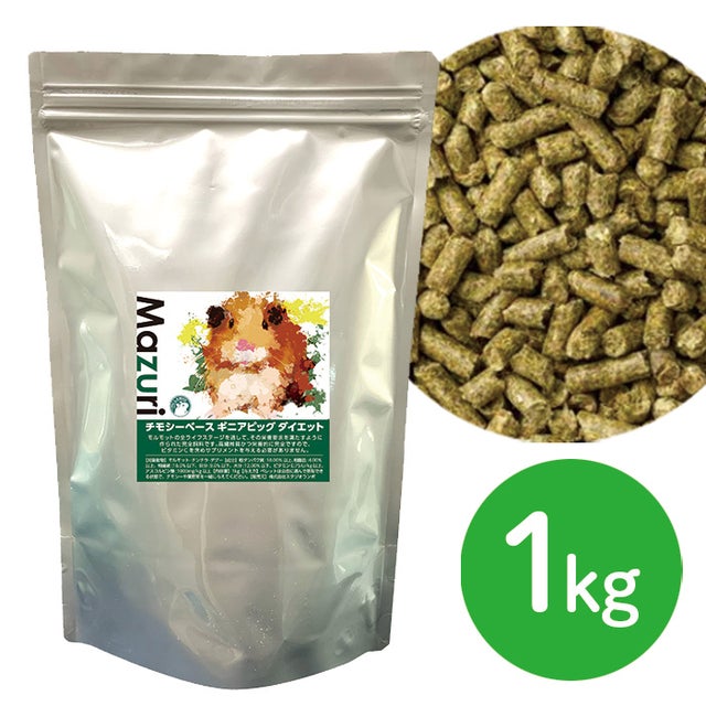 デグー | 小動物専門店 ペットショップLAMPO