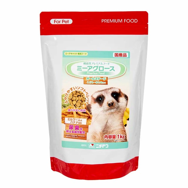 ミーアキャット | 小動物専門店 ペットショップLAMPO